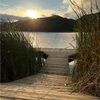 lakeside_finds